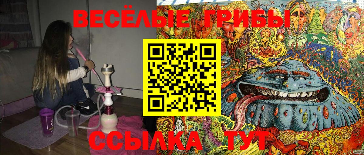 Батайск  Галлюциногенные грибы прущие грибы  Галлюциногенные грибы мухоморы  Вход с VPN 