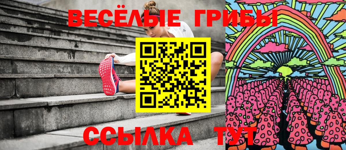 Псилоцибиновые грибы MAGIC MUSHROOMS Батайск